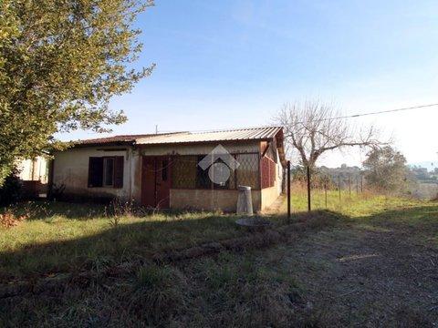 Casa indipendente in Via Ternana s.n.c, Montopoli di Sabina