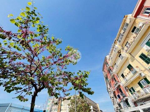 Trilocale in Via Giuseppe Bonito, 173, Centro Storico, Castellammare di Stabia