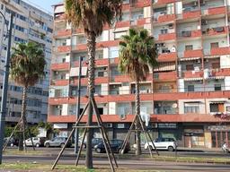 Bilocale in Via Amerigo Vespucci, 88, Mercato-Pendino, Napoli