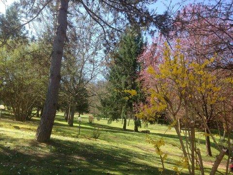 Villa in Via Brocchi, 1, Centro, Borgo San Lorenzo