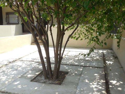 Trilocale in Via turrati, 9, Soverato