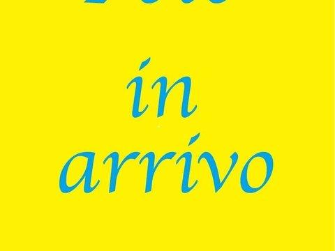 Villetta bifamiliare in Via Francesco Bacone s.n.c, Masone-Marmirolo, Reggio Emilia