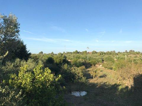 Villetta a schiera in Via Giuseppe de Martini, 75 c, Ottava - Buddi Buddi - Taniga, Sassari