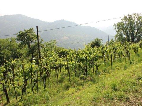 Casale/cascina in Via Guglielmo Marconi, 10, Fosciandora