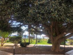 Bilocale in Lungomare delle Palme, 2, Siderno