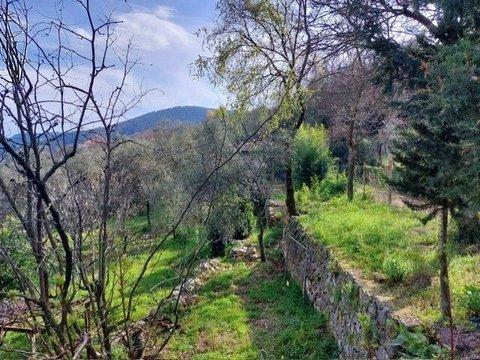 Casale/cascina in Via Caffaggio, 10, Cafaggio, Ameglia