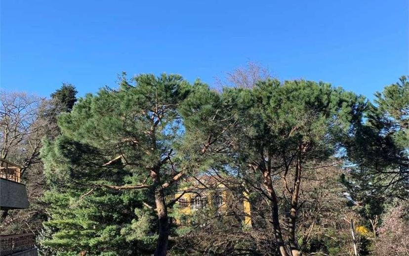 Loft 484 m², Bosto, Varese — foto 21 di 45
