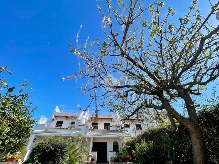 Villa a schiera via Mezzavia 31, Lacco Ameno