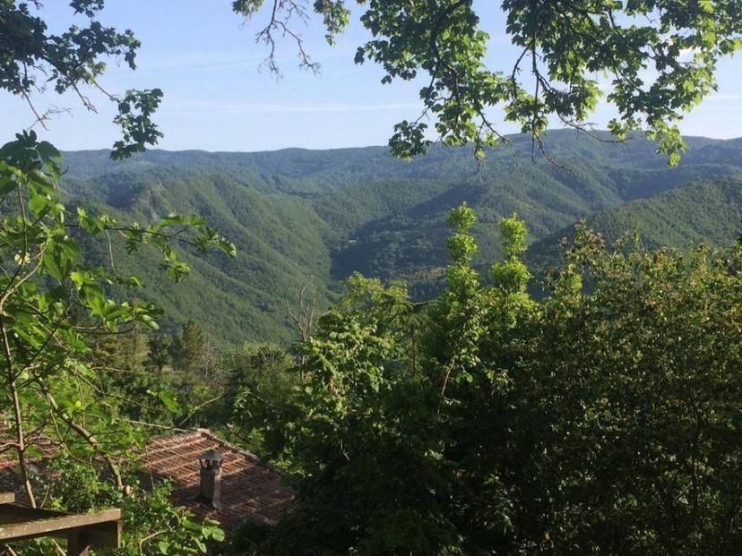 Rustico località Gugena, San Godenzo
