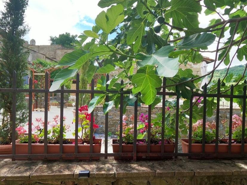 Rustico, ottimo stato, 90 m², Greve in Chianti