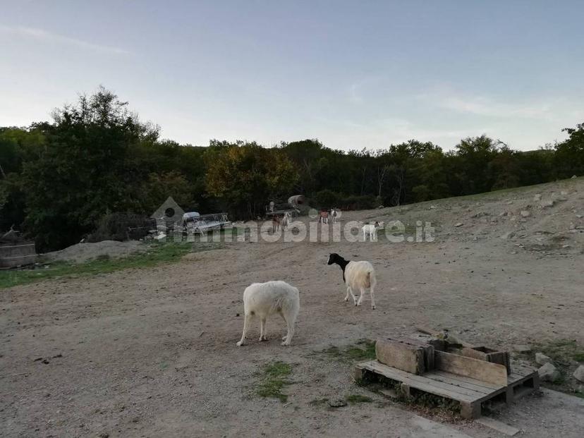 Casale Località Marcoiano 43, Scarperia e San Piero