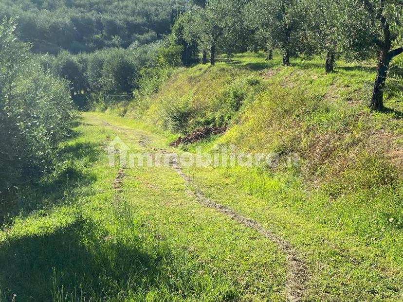 Villa unifamiliare, ottimo stato, 226 m², Centro, Fucecchio