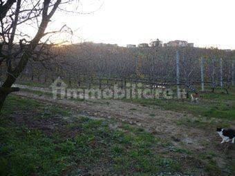 Rustico via Sinistra Guerro 49, Centro, Castelvetro di Modena — foto 3 di 5