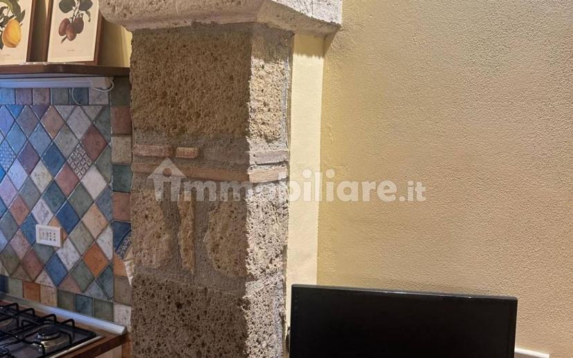 Loft via Giuseppe Mazzini 180, Farnese — foto 10 di 19