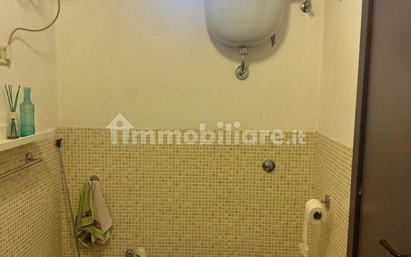Loft via Giuseppe Mazzini 180, Farnese — foto 17 di 19