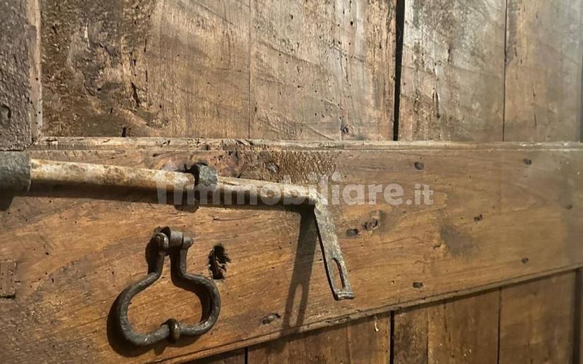 Loft via Giuseppe Mazzini 180, Farnese — foto 7 di 19