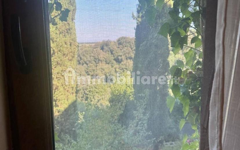 Loft via Giuseppe Mazzini 180, Farnese — foto 4 di 19