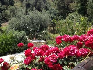 Villa unifamiliare contrada san leonardo, Pollica — foto 8 di 28