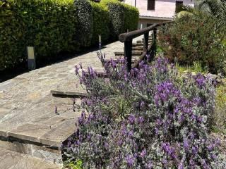 Villa unifamiliare contrada san leonardo, Pollica — foto 25 di 28