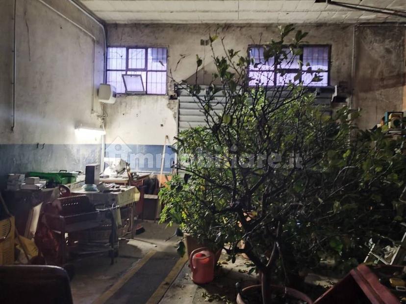 Villa a schiera via Sinistra Guerro 49, Centro, Castelvetro di Modena — foto 4 di 16