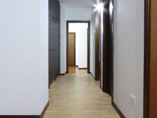 Stanza singola viale Giorgione 33, Vicenza — foto 2 di 30