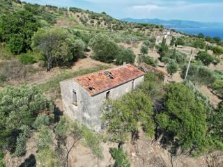 Rustico Ss267, Pollica