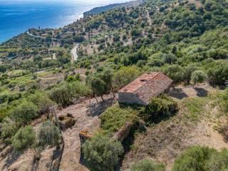 Rustico Ss267, Pollica — foto 5 di 8