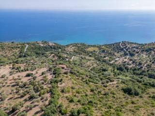 Rustico Ss267, Pollica — foto 3 di 8