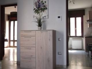 Stanza singola via Guglielmo Oberdan 15, Rovigo — foto 6 di 20