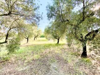 Quadrilocale via del Cesenese 3, Sonnino — foto 12 di 48