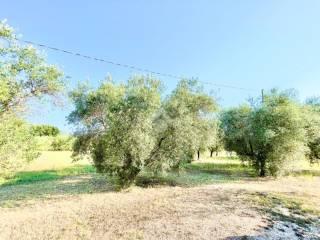 Quadrilocale via del Cesenese 3, Sonnino — foto 23 di 48