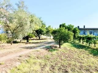 Quadrilocale via del Cesenese 3, Sonnino — foto 45 di 48