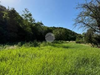 Rustico via Case Sparse 14, Bruno — foto 13 di 40