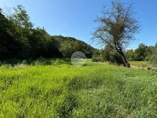Rustico via Case Sparse 14, Bruno — foto 36 di 40