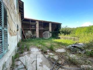 Rustico via Case Sparse 14, Bruno — foto 25 di 40
