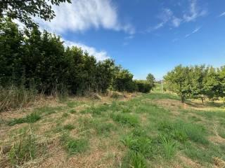 Cascina regione Secco, Canelli — foto 17 di 32