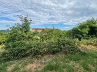 Cascina regione Secco, Canelli — foto 6 di 32
