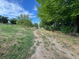 Cascina regione Secco, Canelli — foto 28 di 32