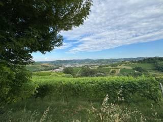 Cascina regione Secco, Canelli — foto 25 di 32