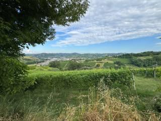 Cascina regione Secco, Canelli — foto 7 di 32