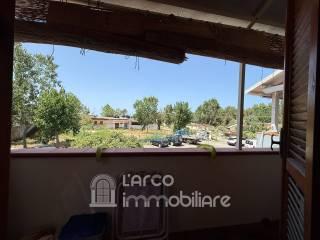 Trilocale corso del Tirreno, Marina Di Santa Maria Del Cedro, Santa Maria del Cedro — foto 14 di 27