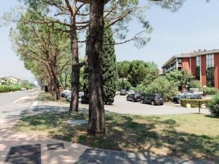 Bilocale via Papa Giovanni XXIII 81B, Rivoltella, Desenzano del Garda — foto 12 di 14