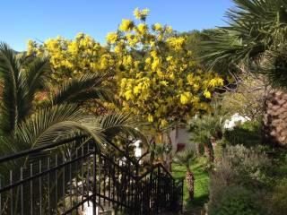 Villa bifamiliare via Soprana, Marina Di Andora, Andora — foto 13 di 27