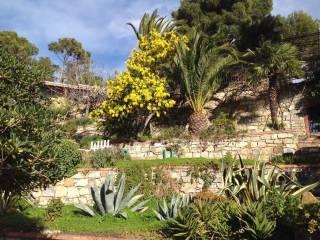 Villa bifamiliare via Soprana, Marina Di Andora, Andora — foto 11 di 27