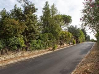 Villa unifamiliare via di Grottefranca, Centro, Formello — foto 30 di 31