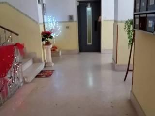 Trilocale via Palmi, 10, Sbarre, Reggio Calabria — foto 7 di 20