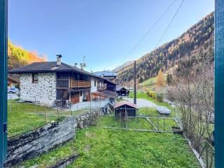 Villa unifamiliare frazione Pracorno 130, Pracorno, Rabbi — foto 20 di 37