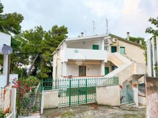Appartamento via Del Carbonaio 33, San Menaio, Vico del Gargano — foto 37 di 42