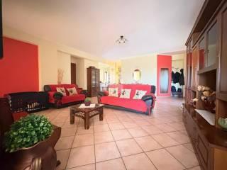 Appartamento via SP247 33, Petraro, Rose — foto 19 di 40