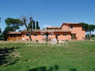 Casale a. Fossa del lupo, Cortona — foto 11 di 36